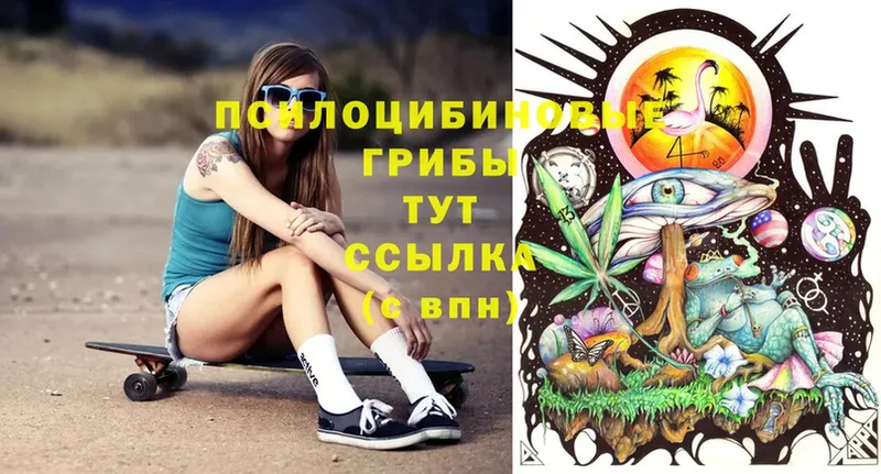 Псилоцибиновые грибы MAGIC MUSHROOMS  цена   omg   Комсомольск 